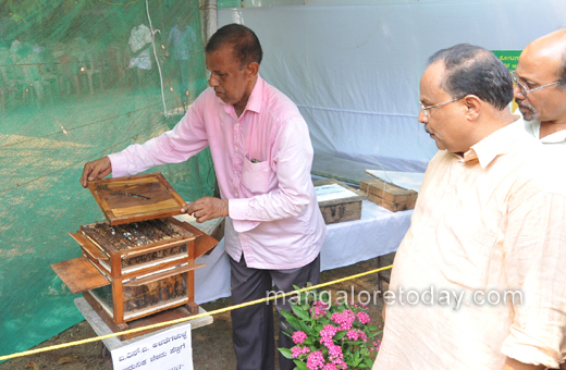 cashew and honey mela